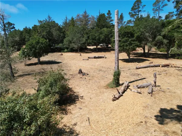 a view of a road with snow on the road
