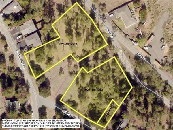 an aerial view of a backyard