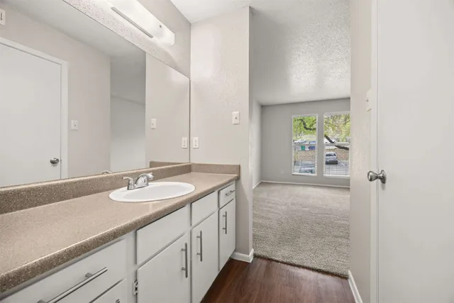 a bathroom with a sink tub double vanity and a mirror