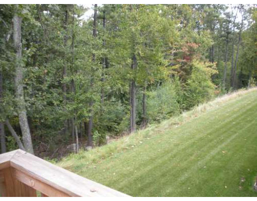 30 Caspian Way, Unit 30 Fitchburg, MA 01420 - Photo 9 of 10 a view of a forest from a yard