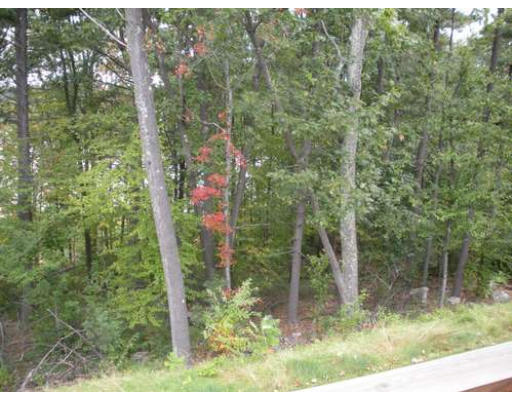 30 Caspian Way, Unit 30 Fitchburg, MA 01420 - Photo 10 of 10 a view of a forest filled with trees