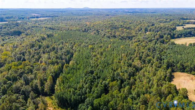 $325,000 | 0 Copper Mine Road, Dillwyn, VA 23936