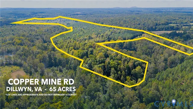 $325,000 | 0 Copper Mine Road, Dillwyn, VA 23936