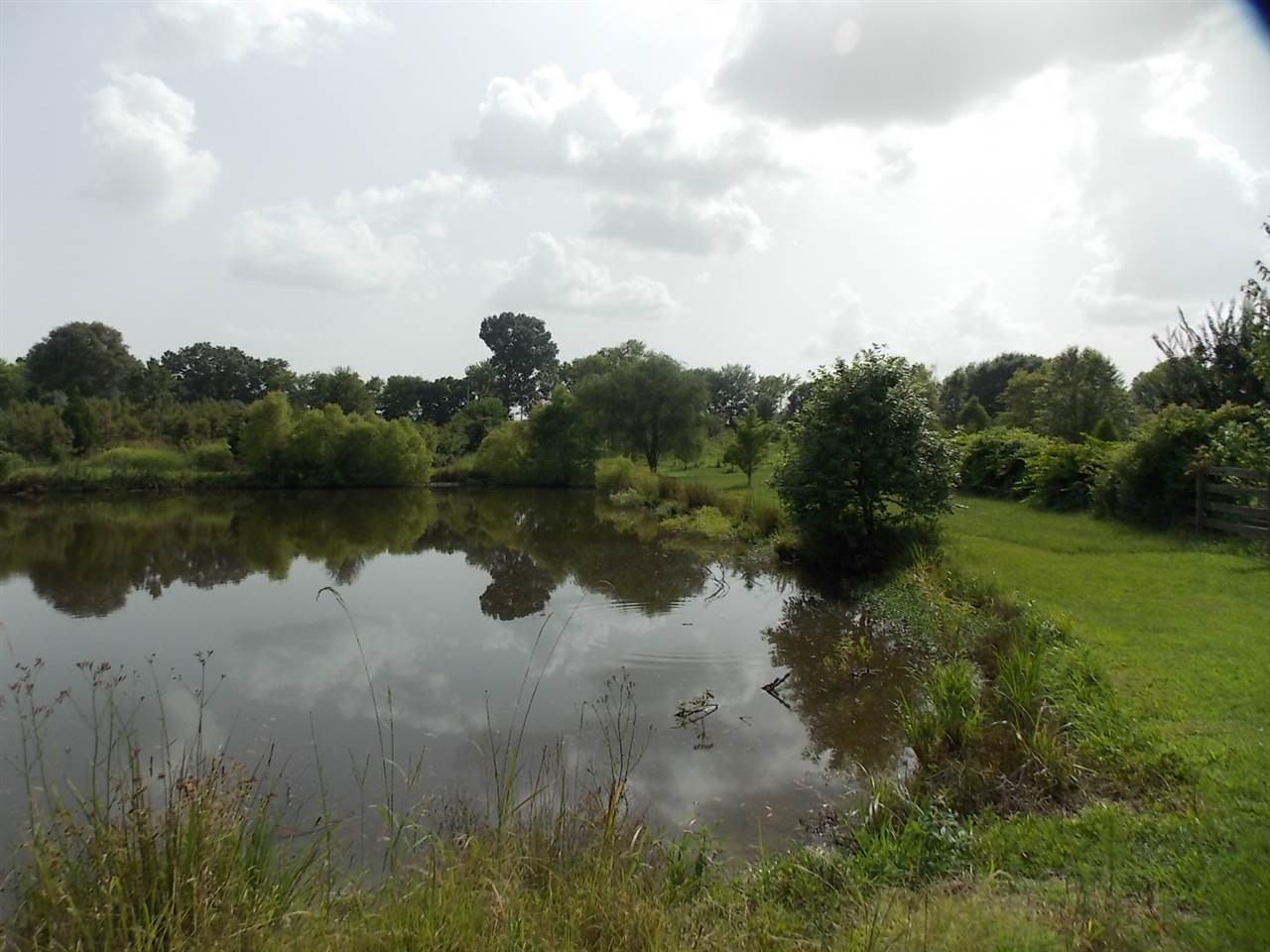 1494 Livingston Vernon Road Flora, MS 39071 - Photo 1 of 1 Photo 1