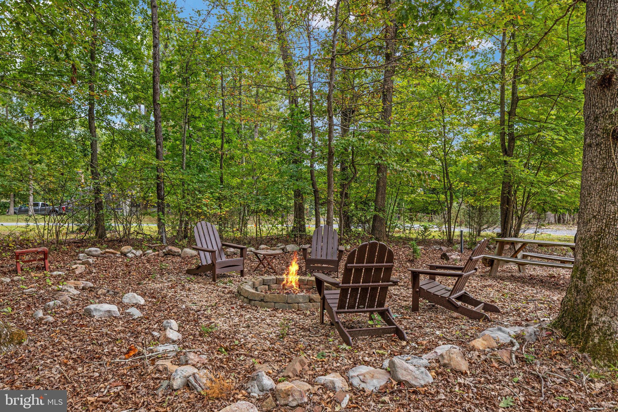 3823 Panhandle Road Front Royal, VA 22630 - Photo 54 of 78 Side yard Firepit and picnic area
