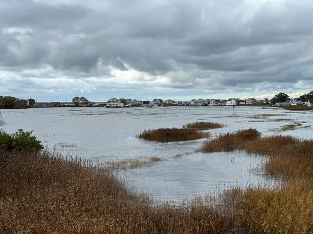a view of a lake with houses in the back