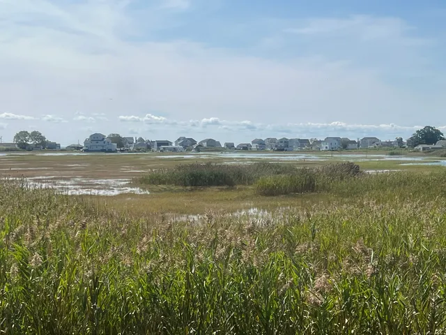 a view of an ocean with a mountain