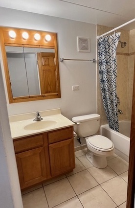 5209 South Leclaire Avenue, Unit 3B Chicago, IL 60638 - Photo 3 of 8 a bathroom with a toilet sink and mirror
