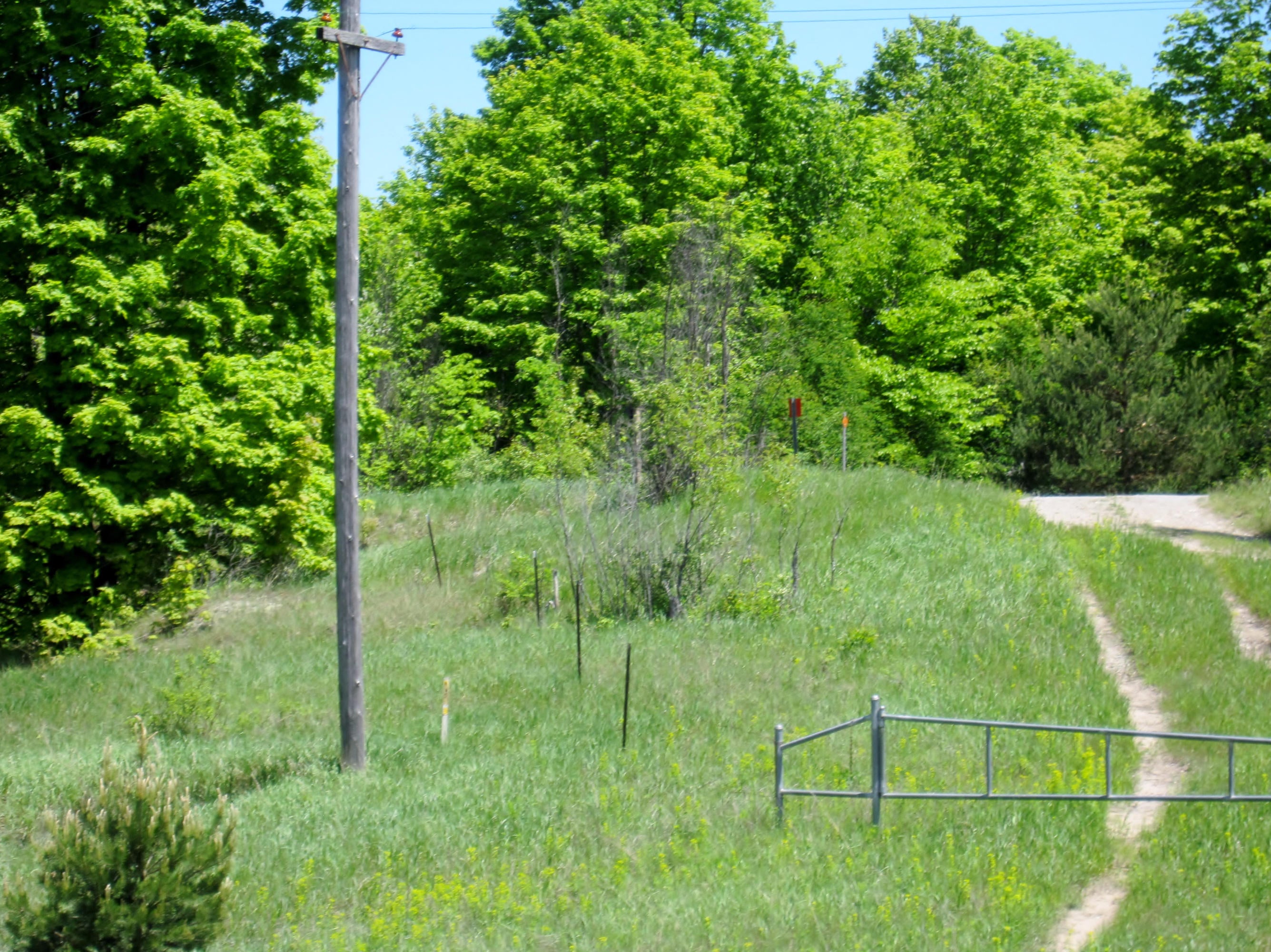 Kosiara Road Gaylord, MI 49735 - Photo 8 of 15 Gallery Image 8