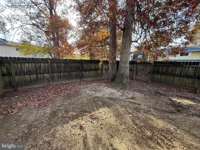 a view of backyard with wooden fence and a large tree