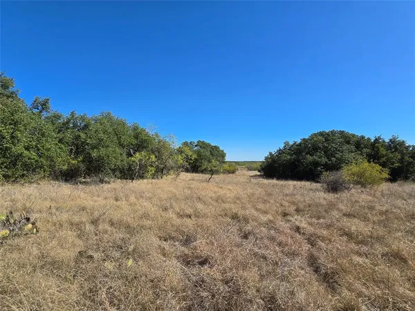 a view of a dry yard