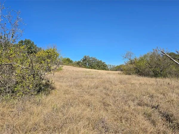 a view of a field with trees in the background