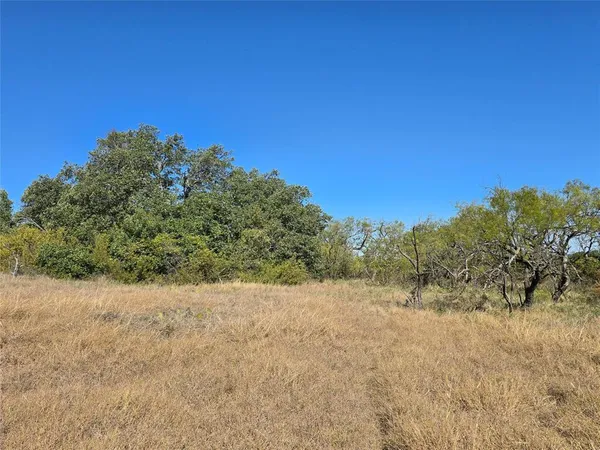 a view of a road with a trees in the background
