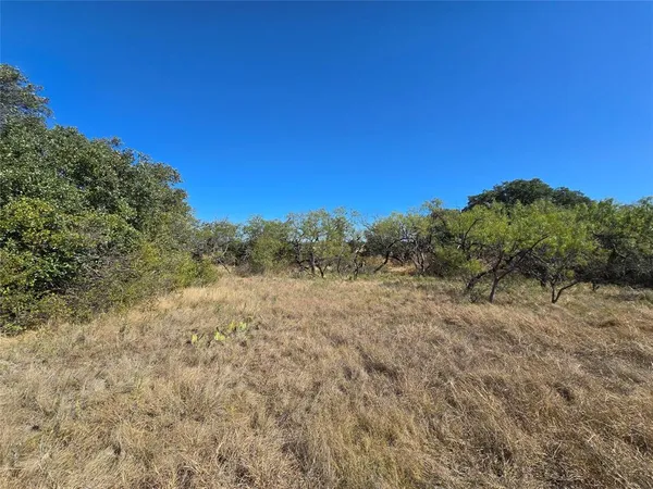 a view of a dry yard with trees in the background