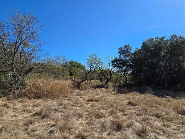 a view of a dry yard with trees