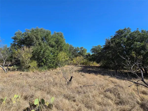 a view of a dry yard with trees