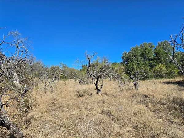 a view of a dry yard with trees in the background