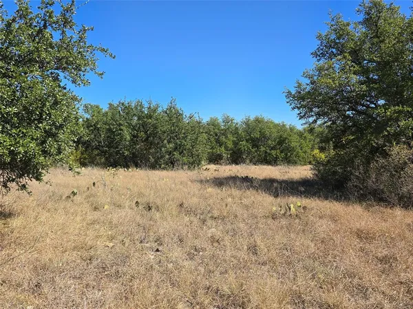 a view of a lake with a mountain in the background