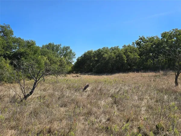 a view of a field of grass and trees