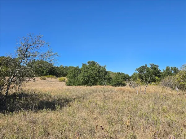a view of a dry yard with trees