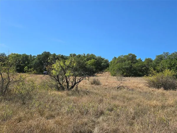 a view of a yard with a tree