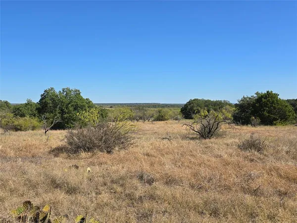 a view of a field with a tree in back
