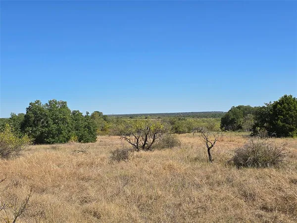 a view of a lake with a tree in the background