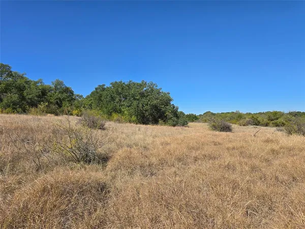 a view of a field with trees in the background