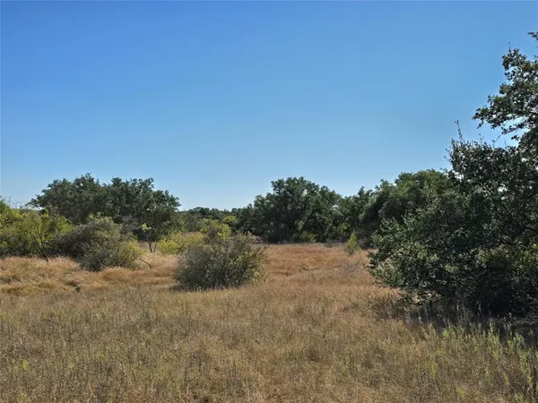 a view of a dry yard with trees in the background