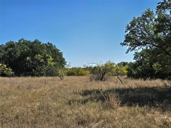 a view of a lake in middle of forest