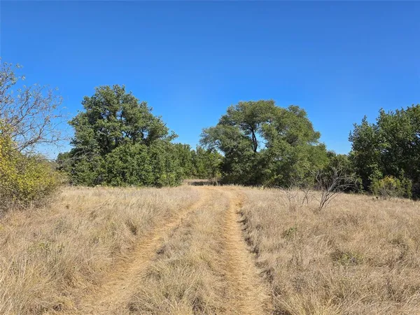 a view of a dry yard with trees