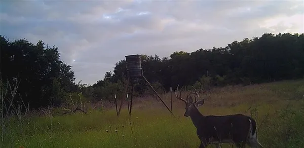 $775,378 | 1343 County Road 188, Cross Plains, TX 76443