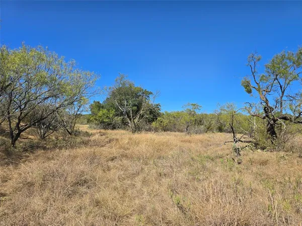 a view of mountain view with trees