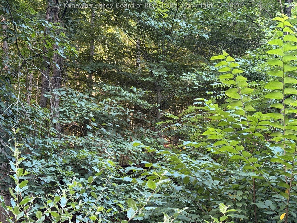 0 Dairy Road Poca, WV 25159 - Photo 12 of 23 Gallery Image 12
