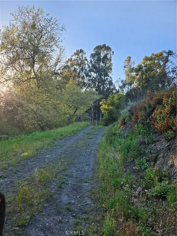 a view of a yard with a tree