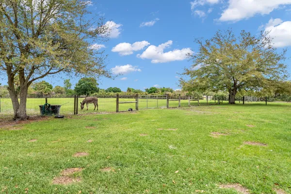 a view of a park with large trees