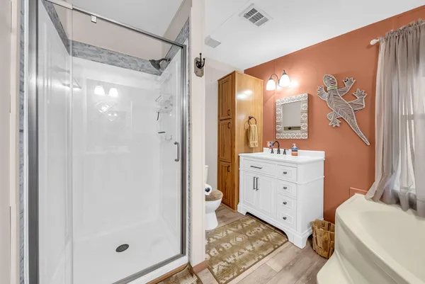 a bathroom with a shower a sink and a mirror