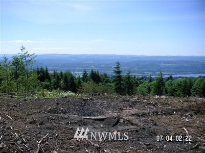 1 Green Mountain Road Kalama, WA 98625 - Photo 1 of 1 Gallery Image 1