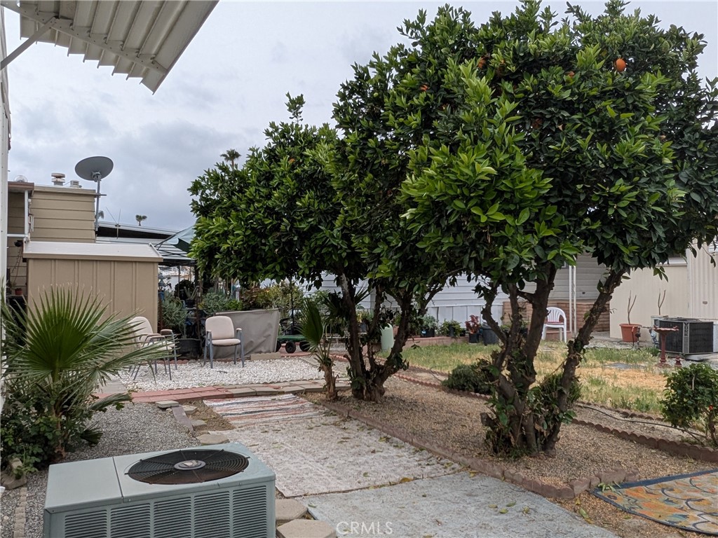 881 North Lake Street, Unit 357 Hemet, CA 92544 - Photo 26 of 29 a view of a backyard with plants and a tree