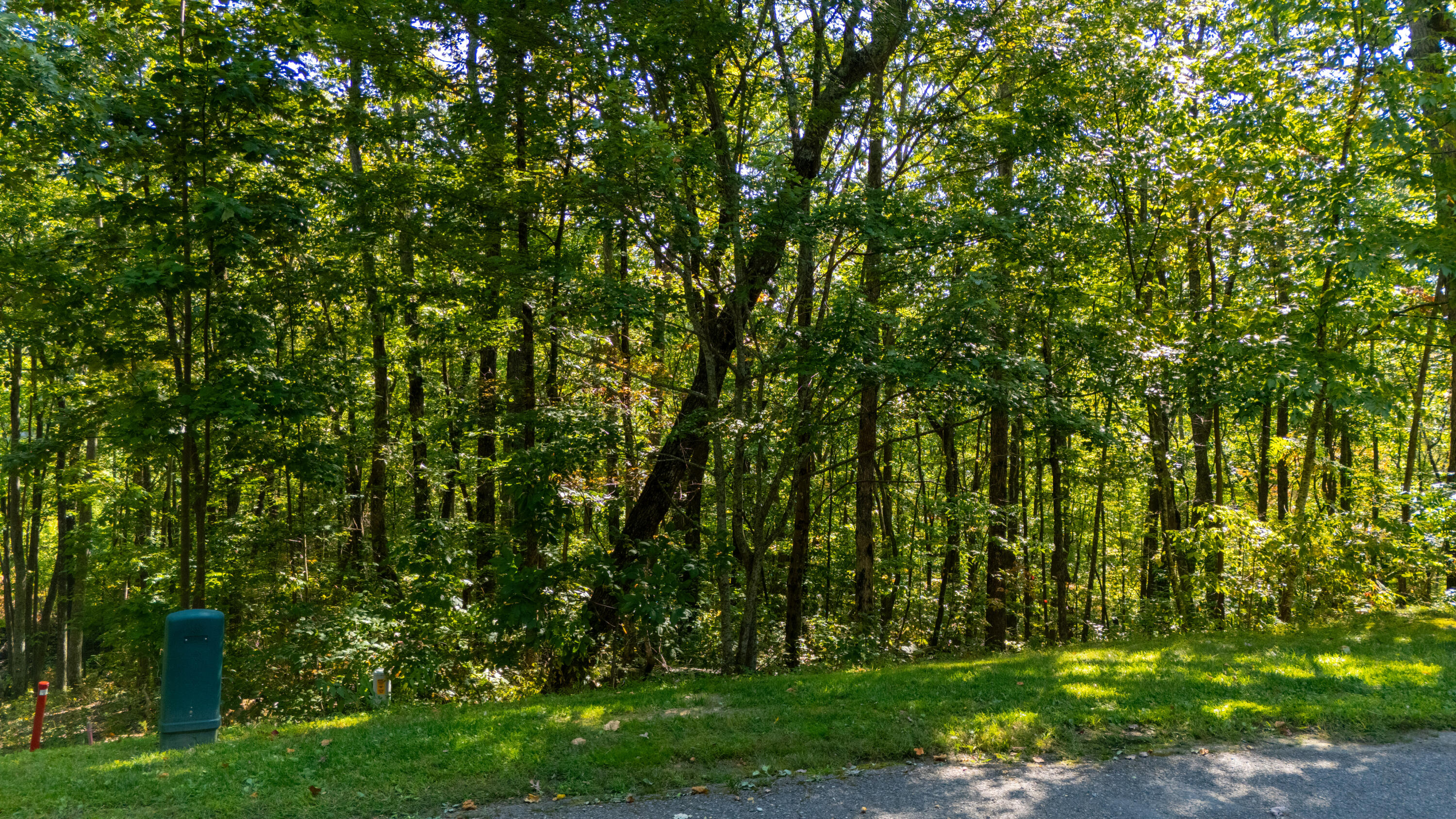 0 Rushing Water Trail, Unit LOT E3 Rising Fawn, GA 30738 - Photo 5 of 27 McLemore E-3