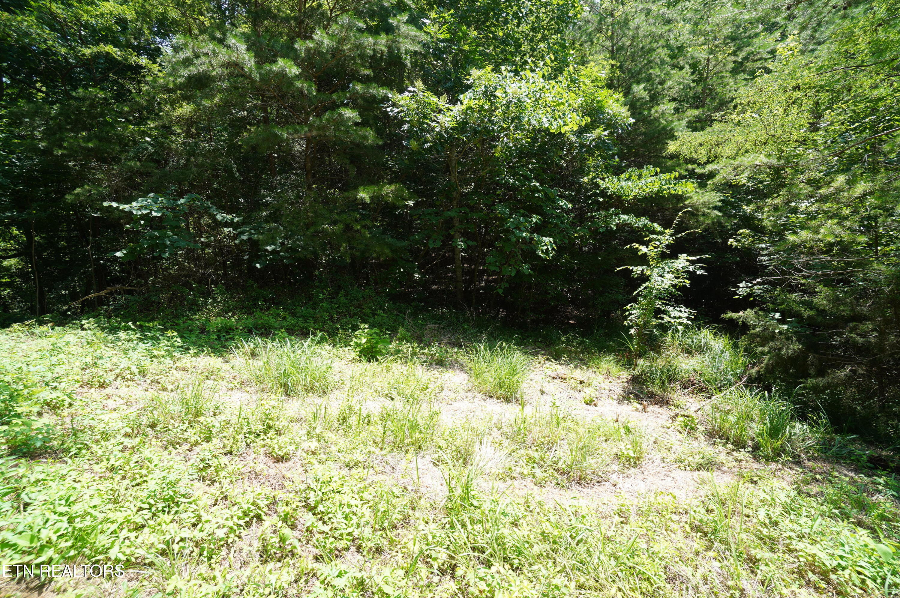 0 Rhyne Camp Road Newport, TN 37821 - Photo 12 of 19 camp rhyne rd (13)