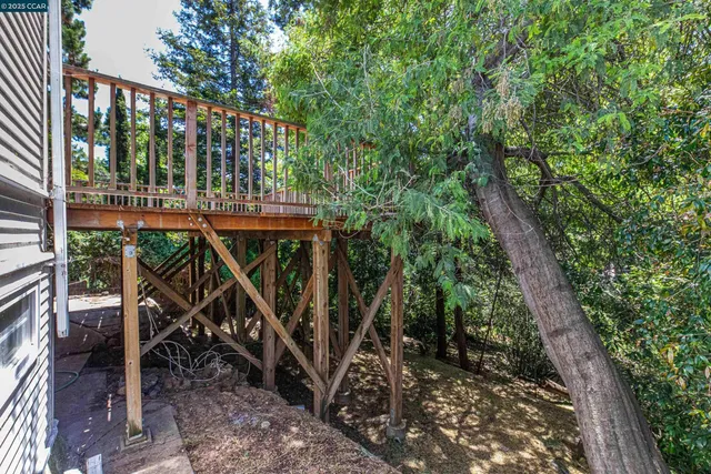 a view of a wooden deck with large trees and plants