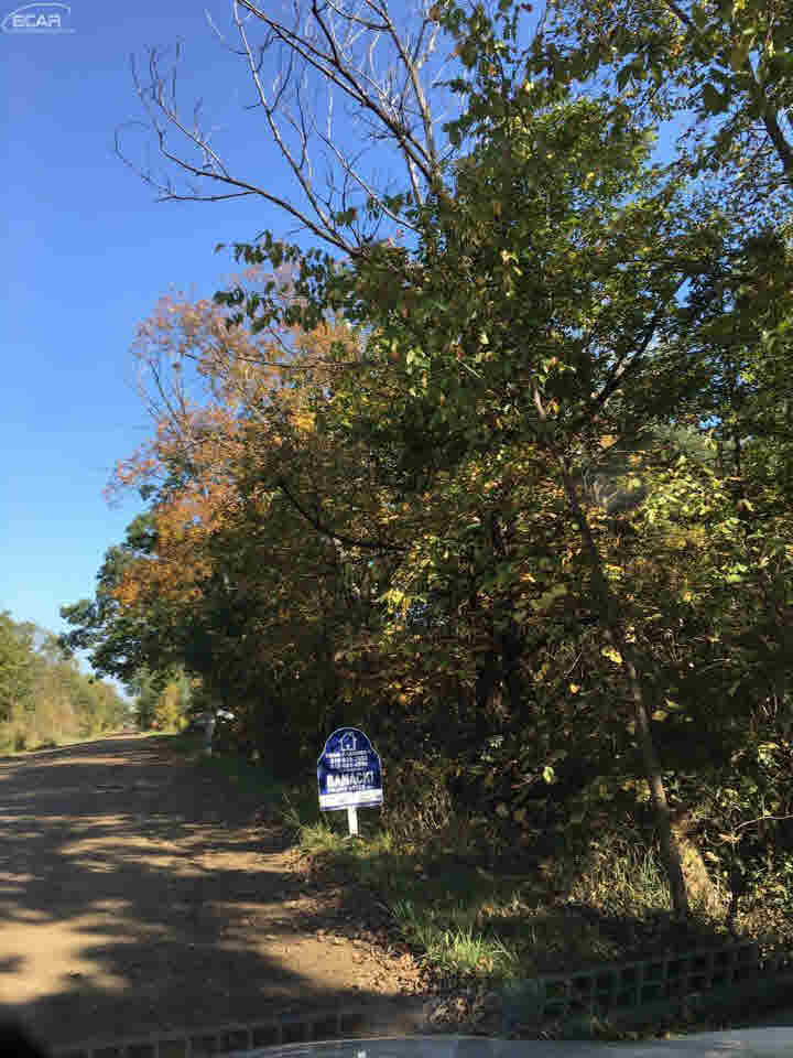 0 West Cook Road Gaines, MI 48436 - Photo 7 of 8
