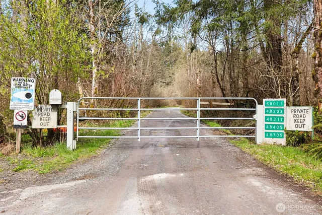 a backyard of a house with plants and tree