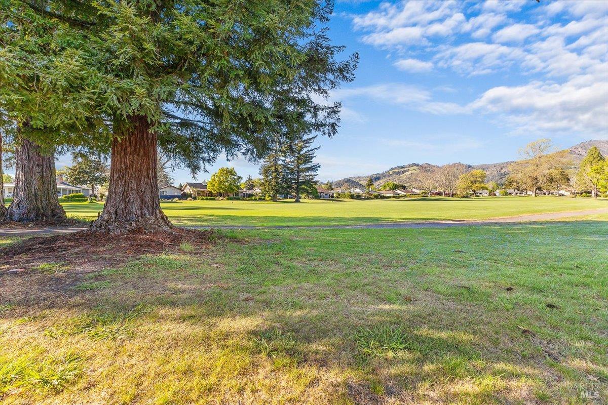 411 Twin Lakes Circle Santa Rosa, CA 95409 - Photo 37 of 41