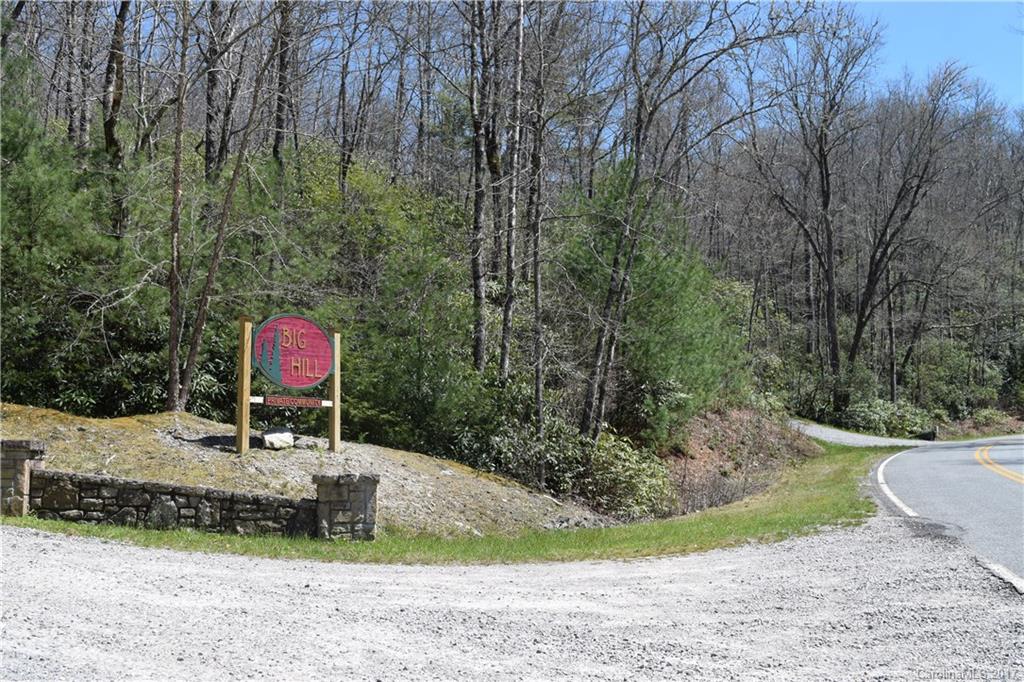 3307 East Fork Road, Unit 6 Brevard, NC 28712 - Photo 2 of 11 Gallery Image 2