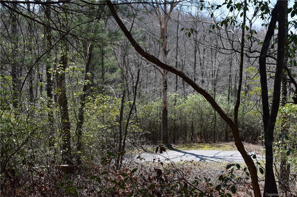 3307 East Fork Road, Unit 6 Brevard, NC 28712 - Photo 11 of 11 Gallery Image 11