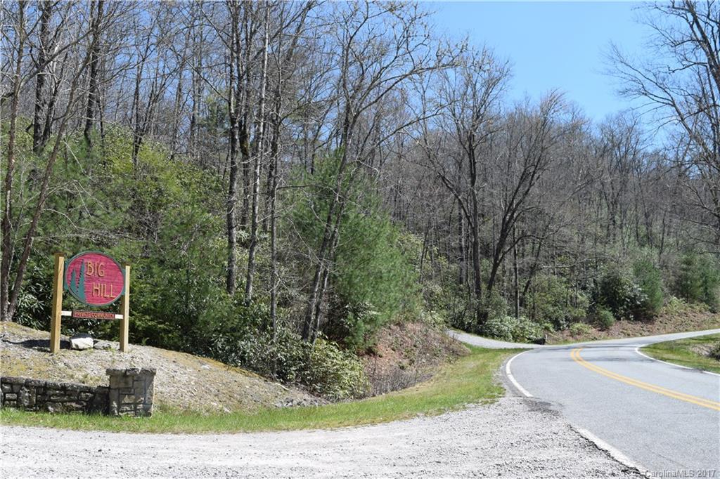3307 East Fork Road, Unit 6 Brevard, NC 28712 - Photo 3 of 11 Gallery Image 3
