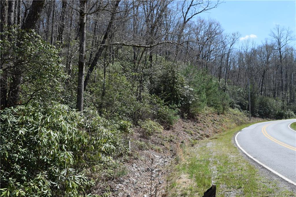 3307 East Fork Road, Unit 6 Brevard, NC 28712 - Photo 5 of 11 Gallery Image 5
