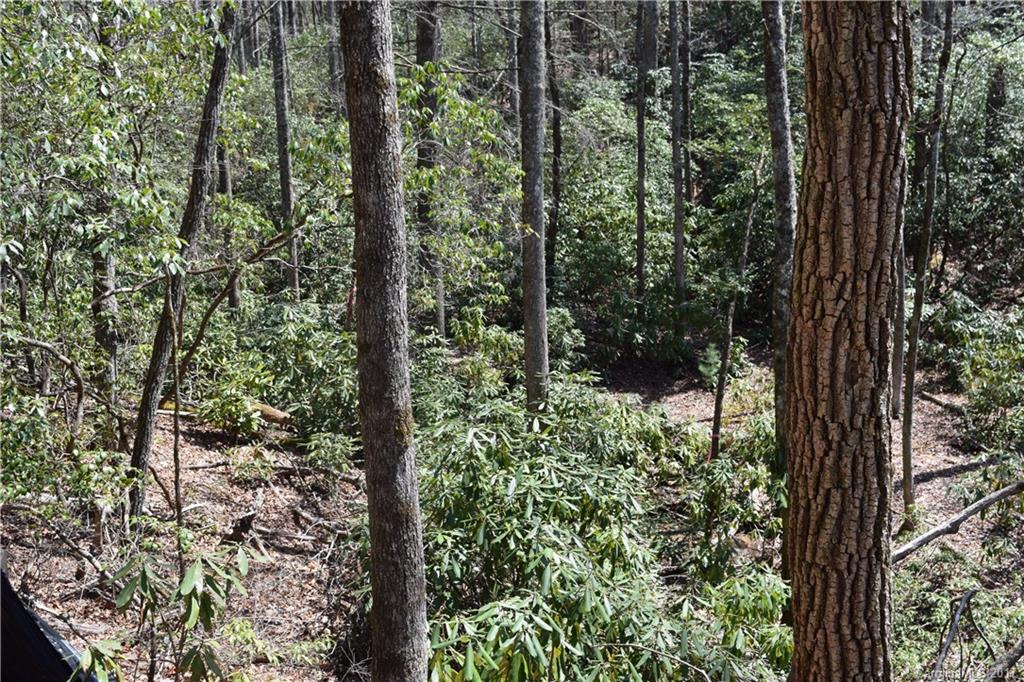 3307 East Fork Road, Unit 6 Brevard, NC 28712 - Photo 7 of 11 Gallery Image 7